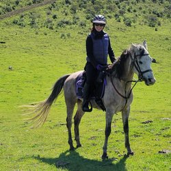 Point Reyes Arabian Adventures