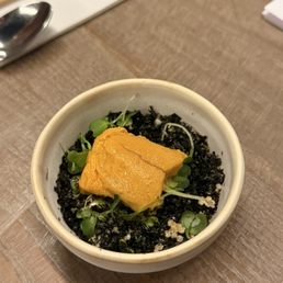 Sea urchin starter