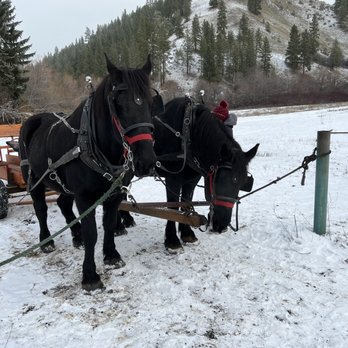Eagle Creek Ranch - Horseback Riding Near Me - Leavenworth, Washington