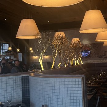 O-Ku - Sushi Bars Near Me - Nashville, Tennessee O-Ku - Sushi Bars Near Me - Nashville, Tennessee