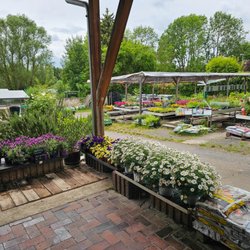 STEIN's Kräuter & Garten