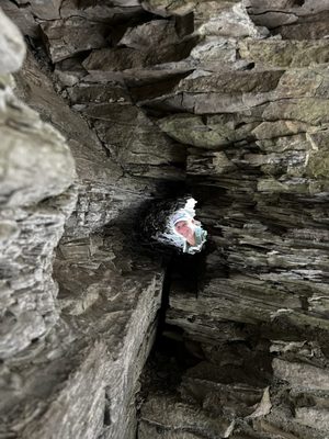 Robert H. Treman State Park by null