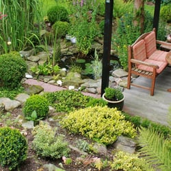 Ecoscapes - Eco friendly garden services