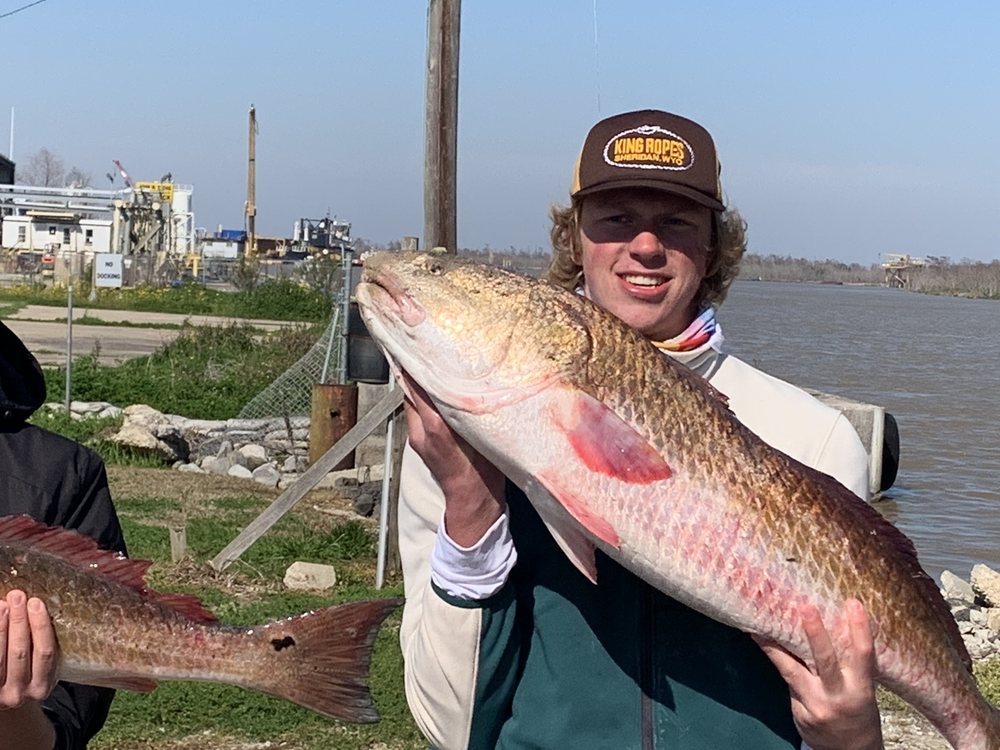 VENICE CHARTERS UNLIMITED Updated August 2024 21 Photos