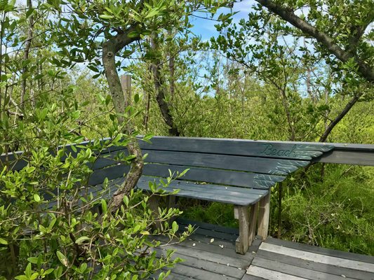 Wild Bird Sanctuary - Florida Keys Wild Bird Center by null