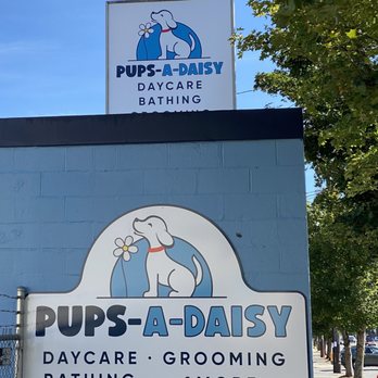 Pups-A-Daisy - North side of the building - Pet Sitting Near Me - Seattle, Washington