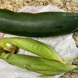 Haffey Family Farm - Jumbo zucchini and corn
