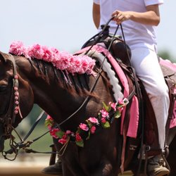 Ellis Park Racing & Gaming