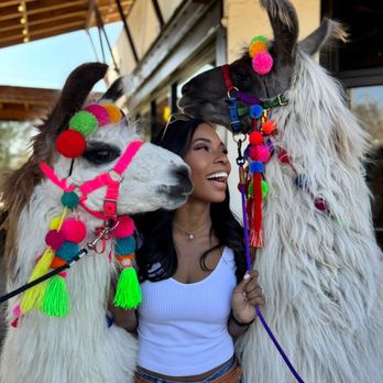 Wit's End Llama Consortium - Animal Assisted Therapy Near Me Wit's End Llama Consortium - Animal Assisted Therapy Near Me