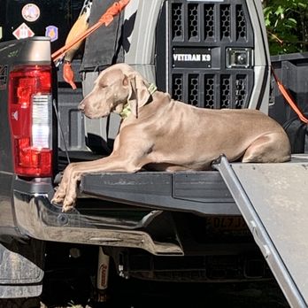 Va Medical Center - Sunbathing service k9 - Medical Centers Near Me - Albany, New York Va Medical Center - Sunbathing service k9 - Medical Centers Near Me - Albany, New York