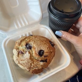Among The Flowers Cafe - Blueberry muffin - Breakfast & Brunch Near Me - Edgartown, Massachusetts