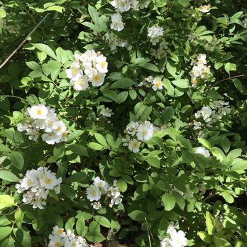 Cumberland Mountain State Park - Parks Near Me - Crossville, Tennessee