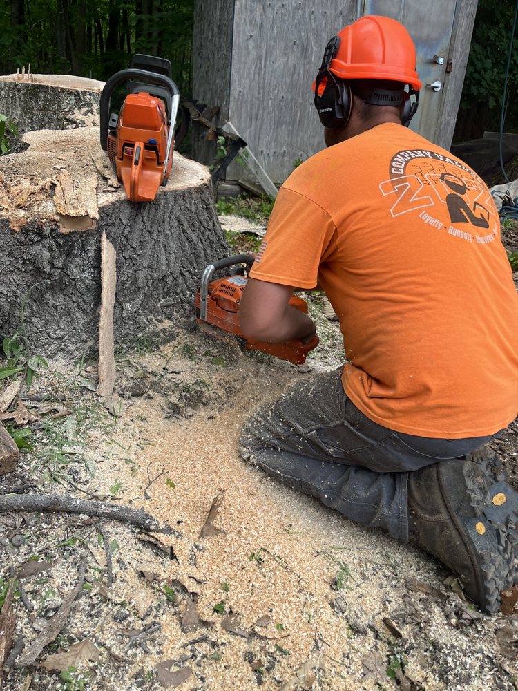 LaForest Property Services - tree service in Stillwater, NY