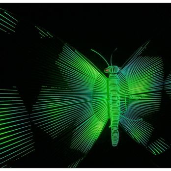 Balloon Museum - Butterfly. - Art Museums Near Me - Los Angeles, California
