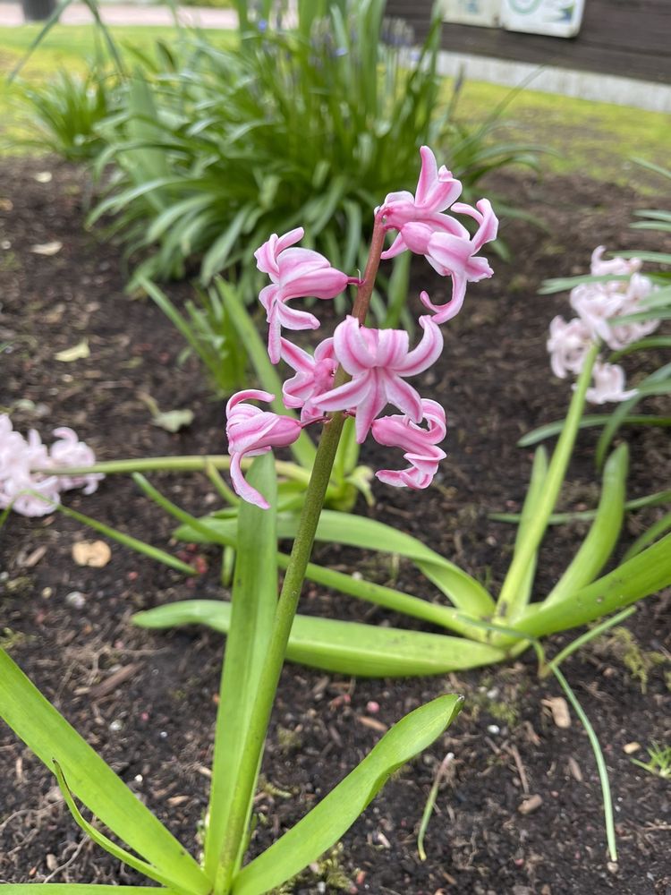 Social spots from Park at Bothell Landing