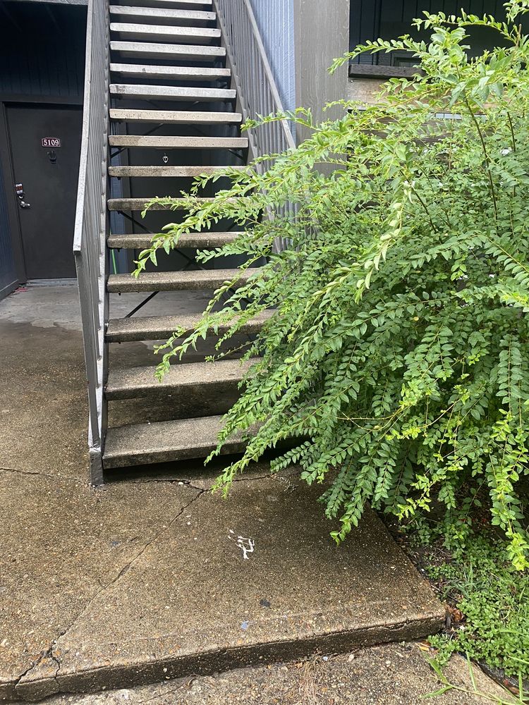 THE QUINN AT WESTCHASE Updated November 2024 54 Photos & 23 Reviews