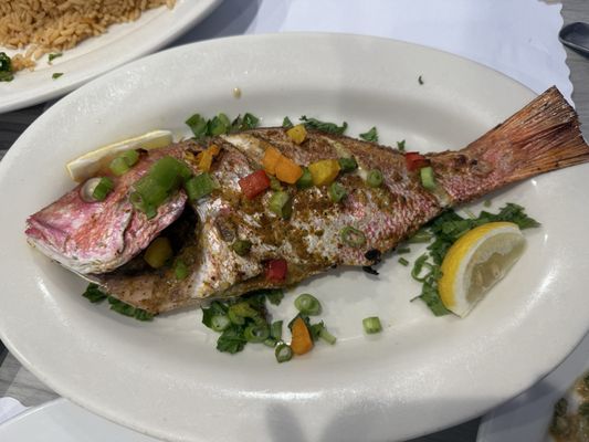 Seafood Story by null