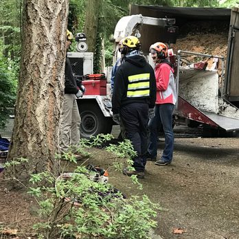 Hitman Tree - Cleaning ground crew - Tree Services Near Me - Kirkland, Washington Hitman Tree - Cleaning ground crew - Tree Services Near Me - Kirkland, Washington