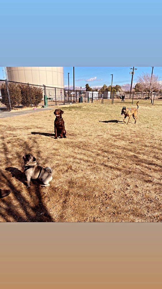 APPLE VALLEY DOG PARK Updated September 2024 49 Photos & 29 Reviews