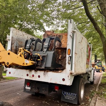 Metro Detroit Tree and Firewood - Tree Services Near Me - Warren, Michigan Metro Detroit Tree and Firewood - Tree Services Near Me - Warren, Michigan