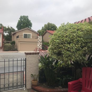 Celis Tree Service - After removal - Tree Services Near Me Celis Tree Service - After removal - Tree Services Near Me