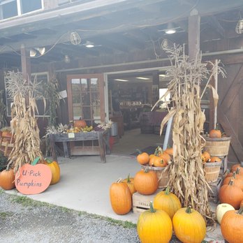 Kristy's Barn - pumpkins and corn stalks - Farmers Market Near Me - Castleton On Hudson, New York