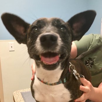 Mantua Veterinary Clinic - Veterinarians Near Me - Mantua, Ohio