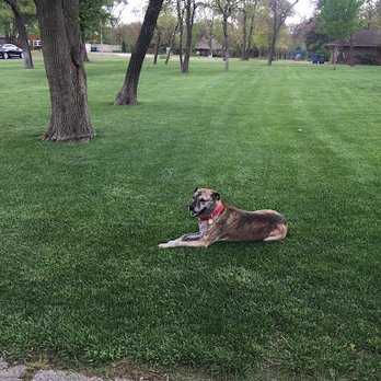 Imperial Lawns - Lawn Services Near Me - Edmond, Oklahoma Imperial Lawns - Lawn Services Near Me - Edmond, Oklahoma