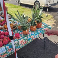 Coconut Marketplace Farmers Market - Sugar loaf pineapples