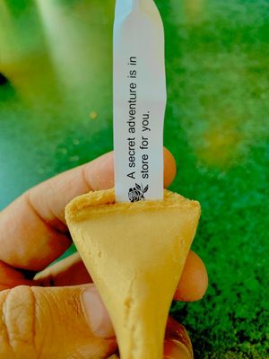 Snappy Dragon by null