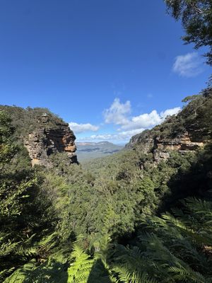 Blue Mountains National Park by null