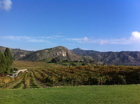 Orfila Vineyards and Winery by null