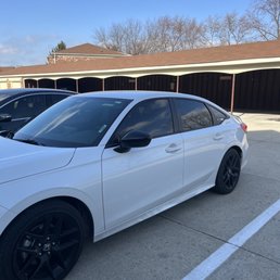 20% tint 20% tint