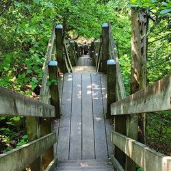 Mountain Park & Lookout Tower