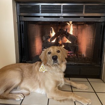Carmel Country Inn - Our dog, Lola, enjoying the fireplace. - Hotels Near Me - Carmel, California Carmel Country Inn - Our dog, Lola, enjoying the fireplace. - Hotels Near Me - Carmel, California