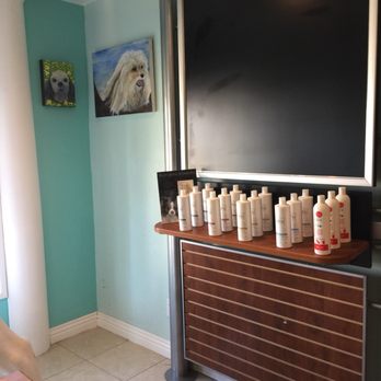 Stars Fancy Paws - Pet Groomers Near Me - Bakersfield, California Stars Fancy Paws - Pet Groomers Near Me - Bakersfield, California