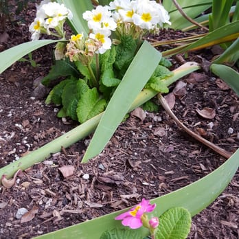 Morgan Hill Inn - Flowers... - Hotels Near Me - Morgan Hill, California Morgan Hill Inn - Flowers... - Hotels Near Me - Morgan Hill, California