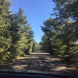 The entrance to Rideau