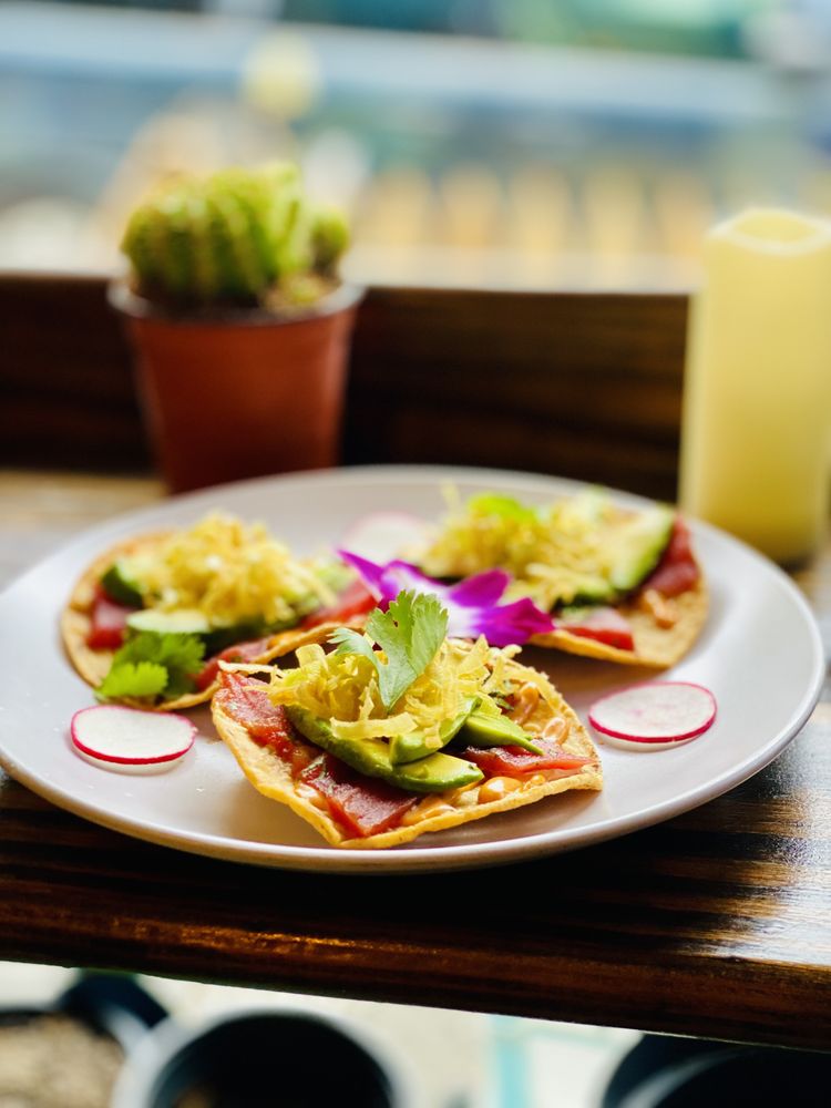 Social spots from ¡AY GÜEY! Agaveria