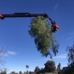 Stone Tree - Grapple crane
