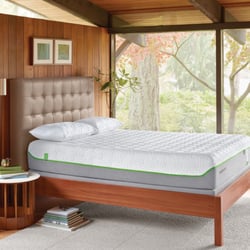 Levin Mattress Shadyside
