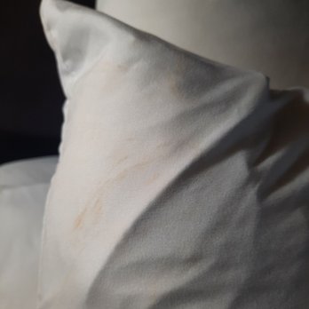 Econo Lodge - Makeup? On pillowcase. - Hotels Near Me - Asheboro, North Carolina