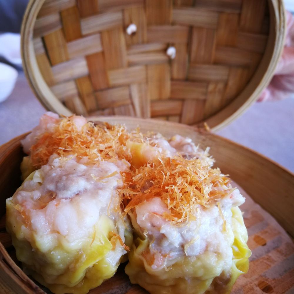 Siu Mai Dumpling Siu Mai Dumpling