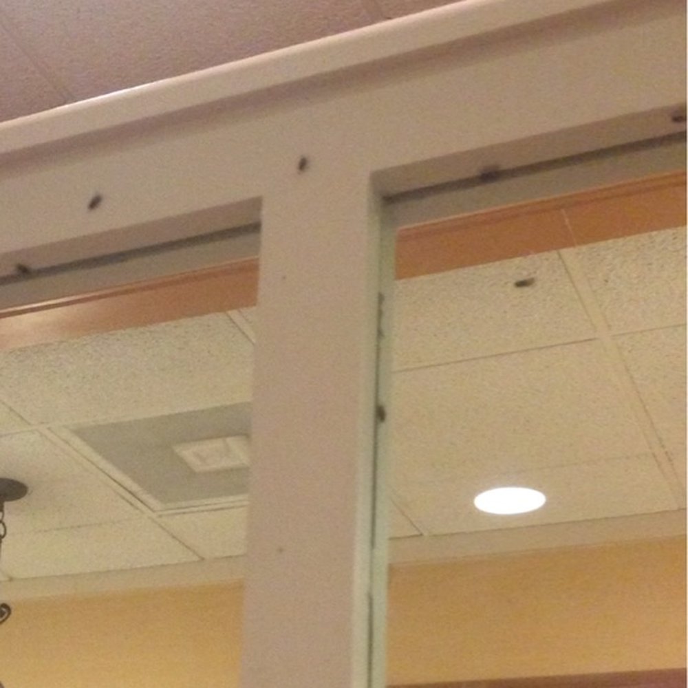 IHOP - Your looking at flys!!!! A lot of them - Breakfast & Brunch Near Me - Odessa, Texas IHOP - Your looking at flys!!!! A lot of them - Breakfast & Brunch Near Me - Odessa, Texas