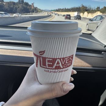 7 Leaves Cafe - Mint Sereno Iced - Coffee & Tea Near Me - Chino Hills, California 7 Leaves Cafe - Mint Sereno Iced - Coffee & Tea Near Me - Chino Hills, California