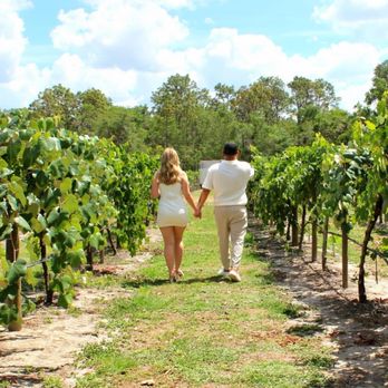 Fiorelli Winery & Vineyard - Fiorelli Winery vineyard - Wineries Near Me - Bradenton, Florida Fiorelli Winery & Vineyard - Fiorelli Winery vineyard - Wineries Near Me - Bradenton, Florida