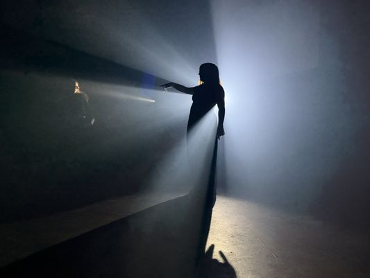 The Elysian Theater by null