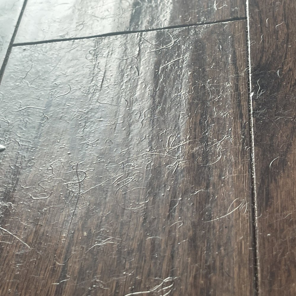 Nichelle’s Cleaning service - Applied shine finish on dirty floors. Now floors are covered in dog hair and debris, embedded in the shine. - Home Cleaning Near Me Nichelle’s Cleaning service - Applied shine finish on dirty floors. Now floors are covered in dog hair and debris, embedded in the shine. - Home Cleaning Near Me