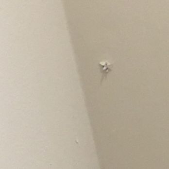 Crawford Contractors - Damage #2 to my ceiling while he was fixing my steps - General Contractors Near Me