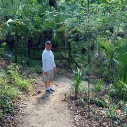 Enchanted Forest Sanctuary - Trails